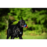 Chuckit Ultra Tug Ball mit Band