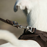 Curli Basic Leine Nylon
