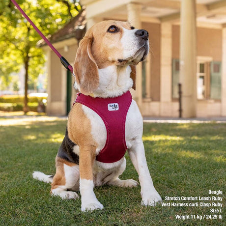 Curli Clasp Vest Hundegeschirr Air-Mesh