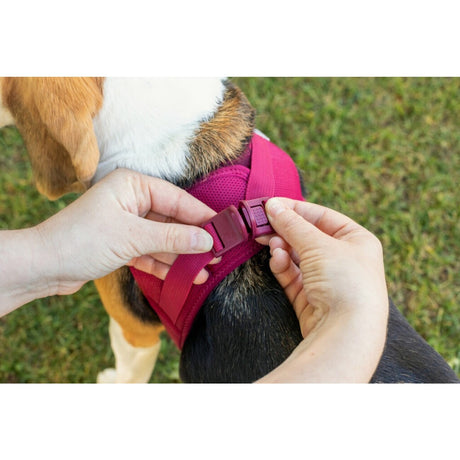 Curli Clasp Vest Geschirr Softshell Hundegeschirr
