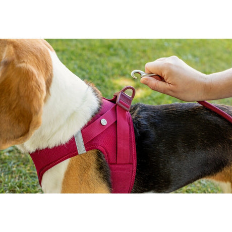 Curli Clasp Vest Geschirr Softshell Hundegeschirr