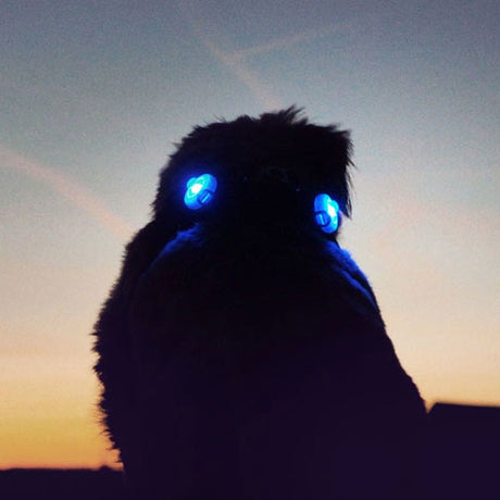 Curli luumi LED Sicherheitslicht