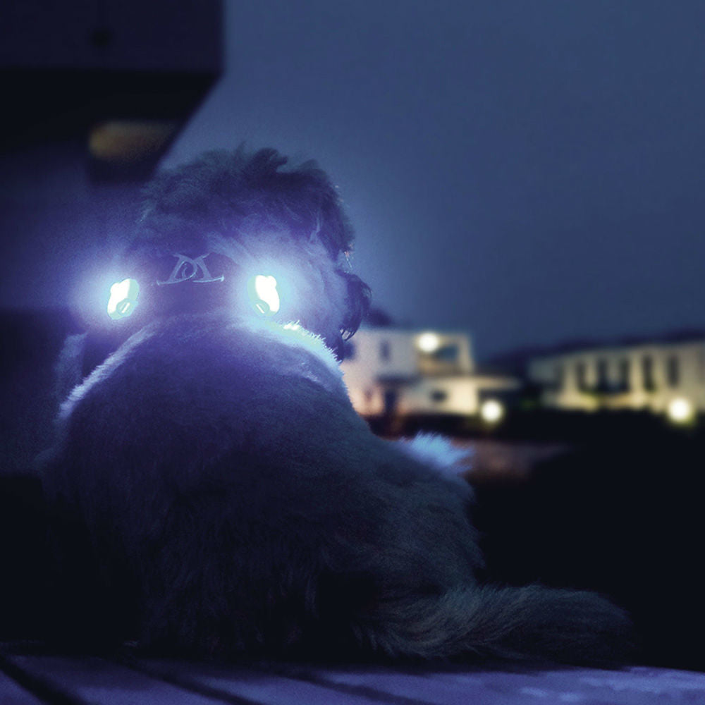 Curli luumi LED Sicherheitslicht