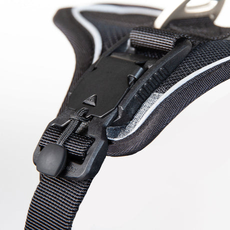 Curli Magnetic Belka Comfort Geschirr