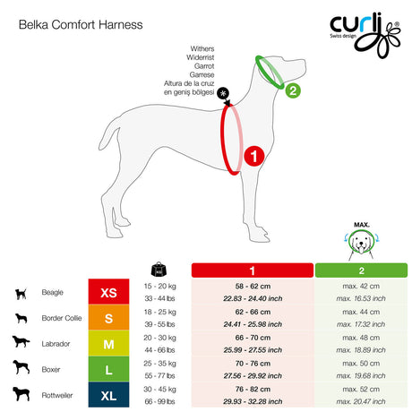 Curli Magnetic Belka Comfort Geschirr