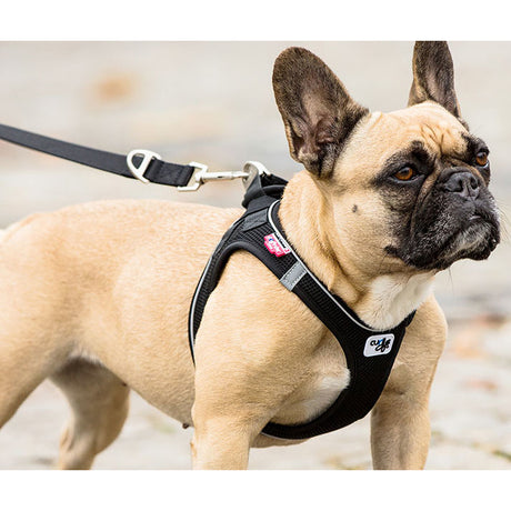 Curli Magnetic Vest Geschirr Air Mesh
