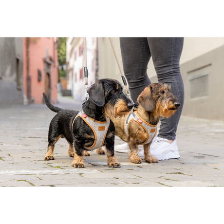 Curli Clasp Vest Harness Alpine – Dein Hundeglück
