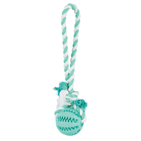 DENTAfun Ball am Tau