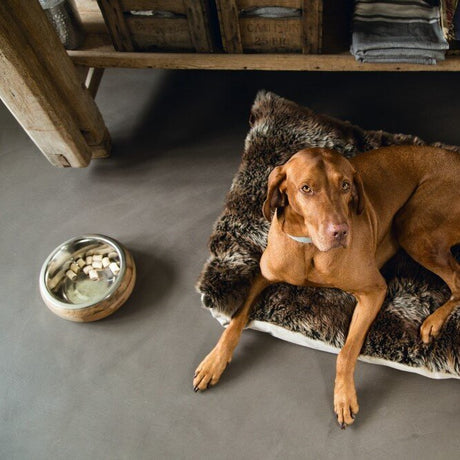 Futternapf MANDIRA aus Holz