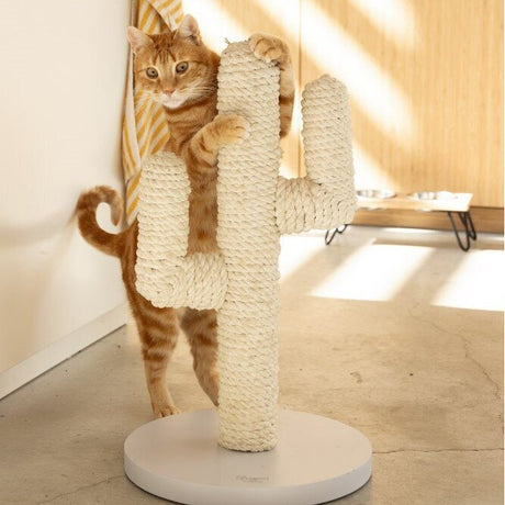 Designed by Lotte Holz Kratzbaum Cactus