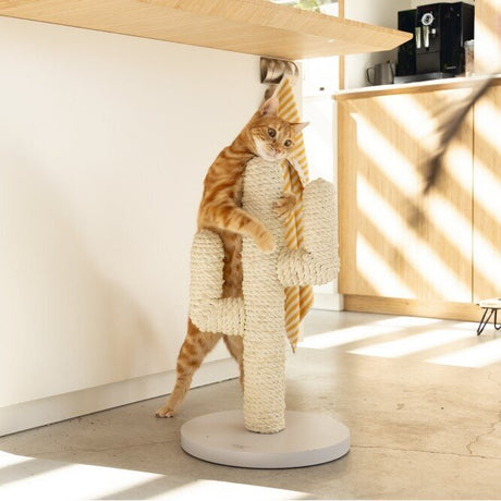 Designed by Lotte Holz Kratzbaum Cactus