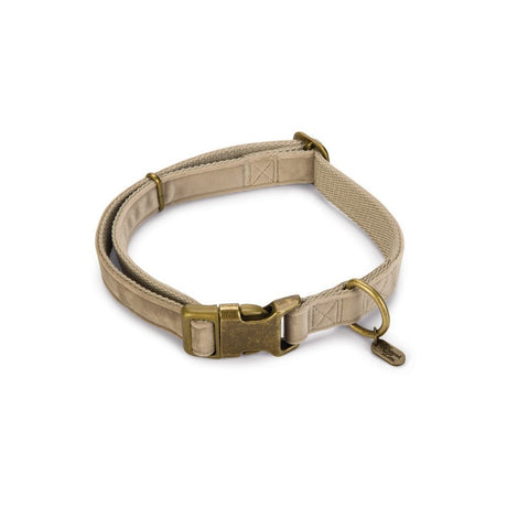 Designed by Lotte Hundehalsband Velura – grau  - 25 mm, L: 48 - 70 cm