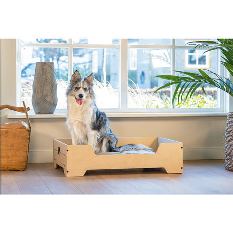 Hundekäfig mit Holzkiste, Bench Quirine