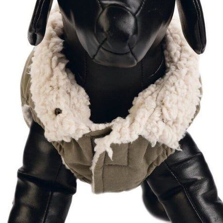 Hundemantel Philos
