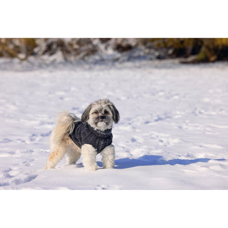 Hundepullover Haida
