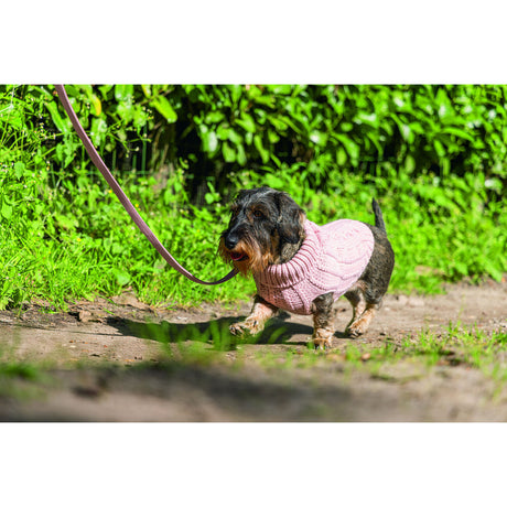 Hundepullover Haida