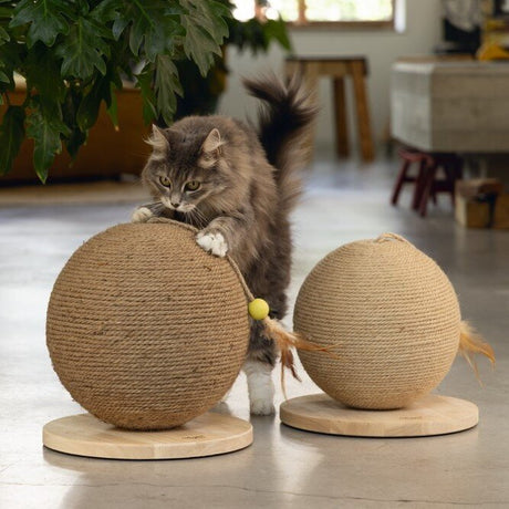 Kratzball Balty