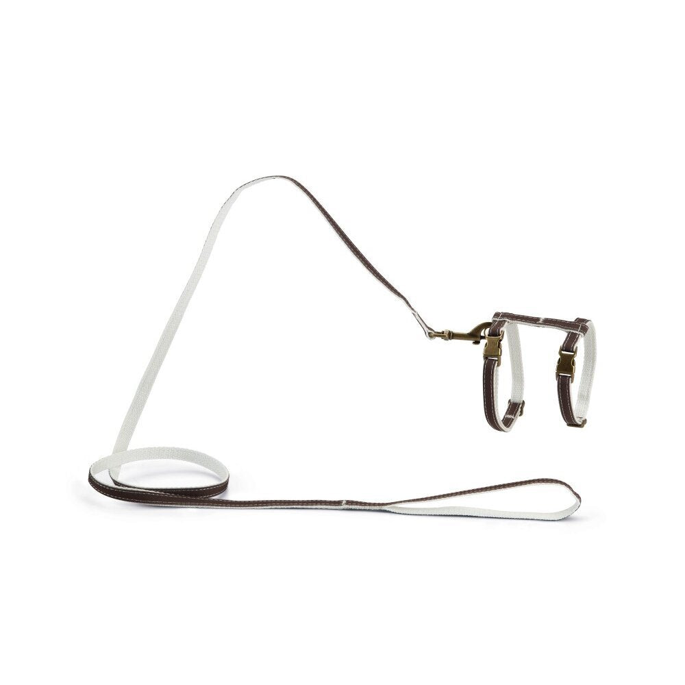 Designed by Lotte Nylongeschirr Virante