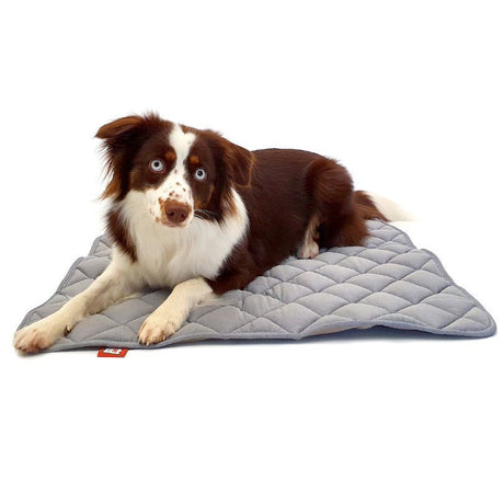 Doctor Bark Fleece Wendedecke für Hunde