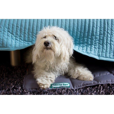 Doctor Bark Hundedecke