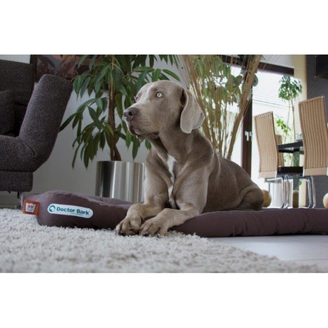 Doctor Bark Hundekissen