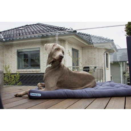 Doctor Bark Hundekissen