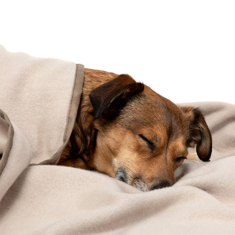 Doctor Bark Kuscheldecke Fleece für Hunde