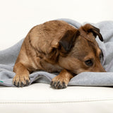Doctor Bark Kuscheldecke Fleece für Hunde