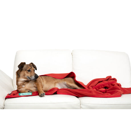 Doctor Bark Kuscheldecke Fleece für Hunde
