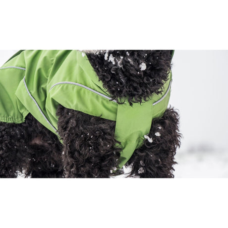 DogBite Hunde Ganzjahres Regenjacke Matt