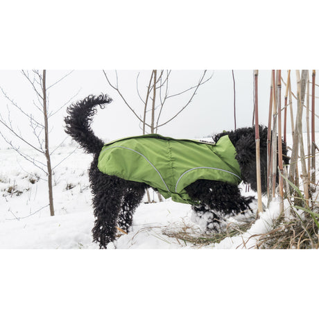 DogBite Hunde Ganzjahres Regenjacke Matt