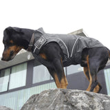 DogBite Hunde Regenjacke