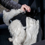Hunde Sicherheitsgurt für kleine und mittlere Hunde