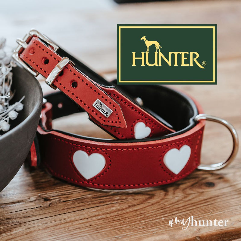 Hunter! Hundespielzeug