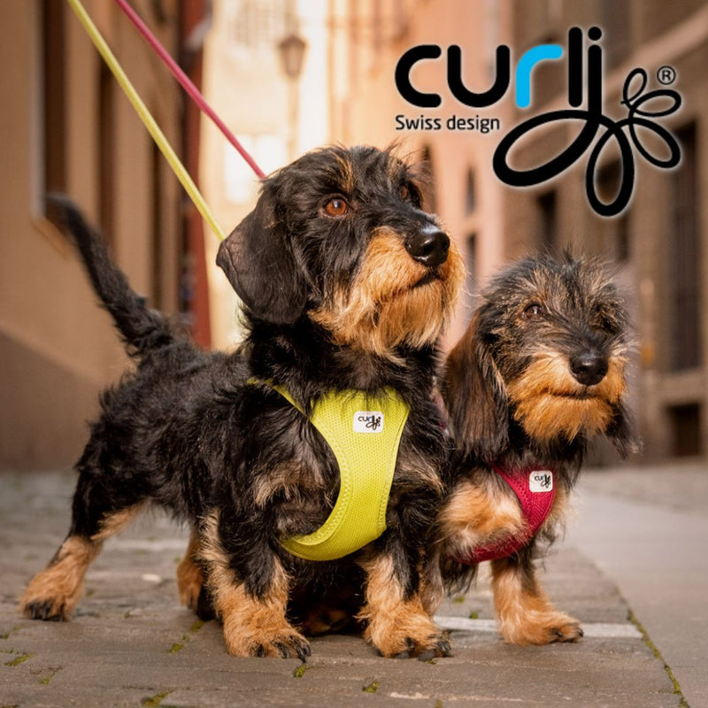Curli Online Shop