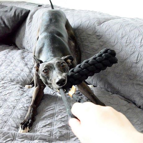 Hundespielzeug geflochtener Kegel Kurt