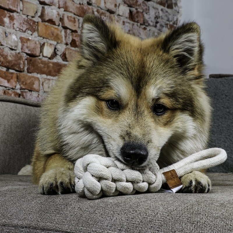 Hundespielzeug geflochtener Kegel Kurt