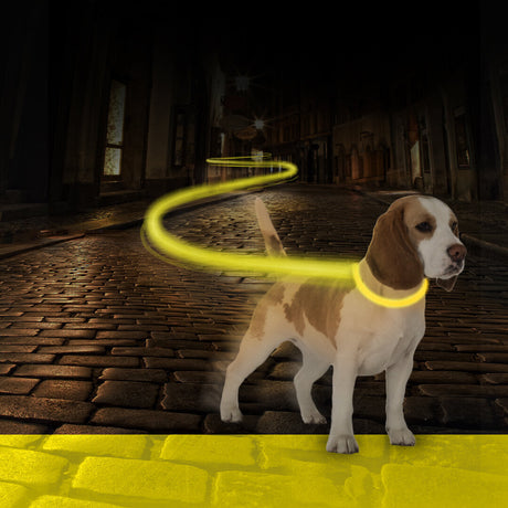Hunde Joggingleine Mit Led Licht USB