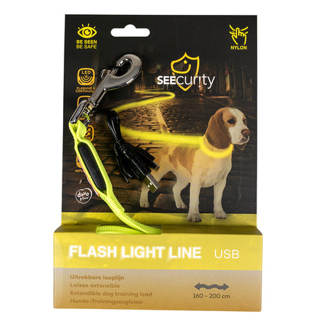 Hunde Joggingleine Mit Led Licht USB