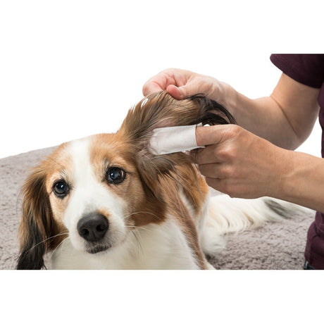 Ear Care Ohrenpflege Fingerpads – 50 St.