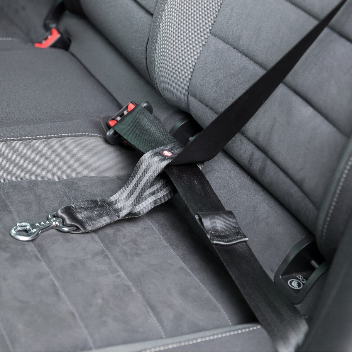 Ersatz-Kurzführer für Auto Hundgeschirr – 30 cm/45 mm