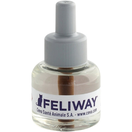 1 Monats-Nachfüllflakon 48ml – 48ml