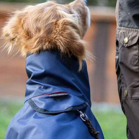 fit4dogs Active Cape Wind & Rain Mini