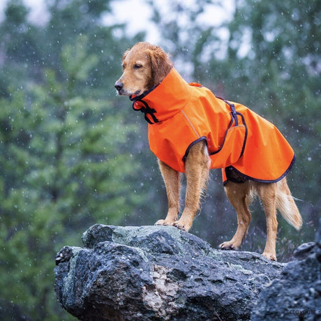 fit4dogs Active Cape Wind & Rain Mini
