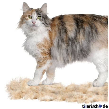 Furminator Katze Langhaar