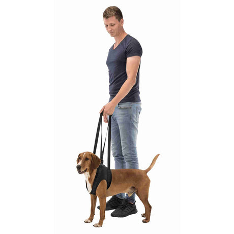 Gehhilfe Tragehilfe für Hunde
