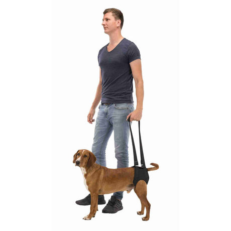 Gehhilfe Tragehilfe für Hunde