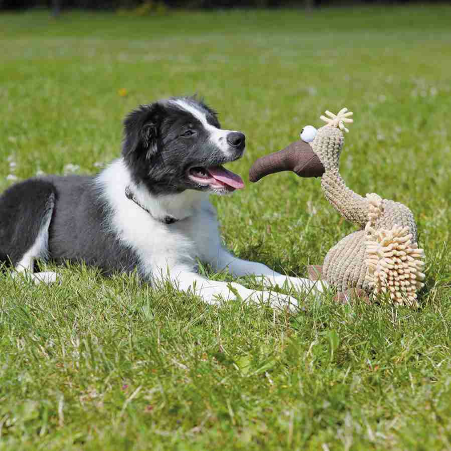 Gustav Geier aus Plüsch, Spielzeug für Hunde