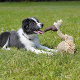 Gustav Geier aus Plüsch, Spielzeug für Hunde