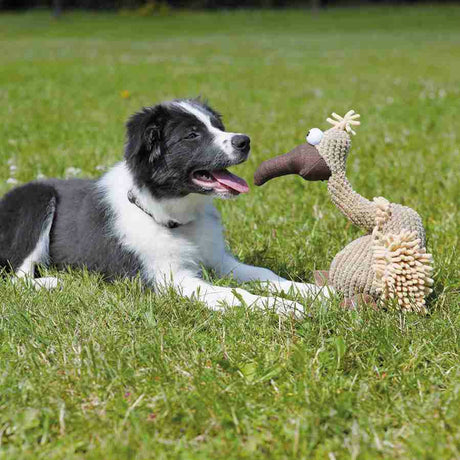 Gustav Geier aus Plüsch, Spielzeug für Hunde